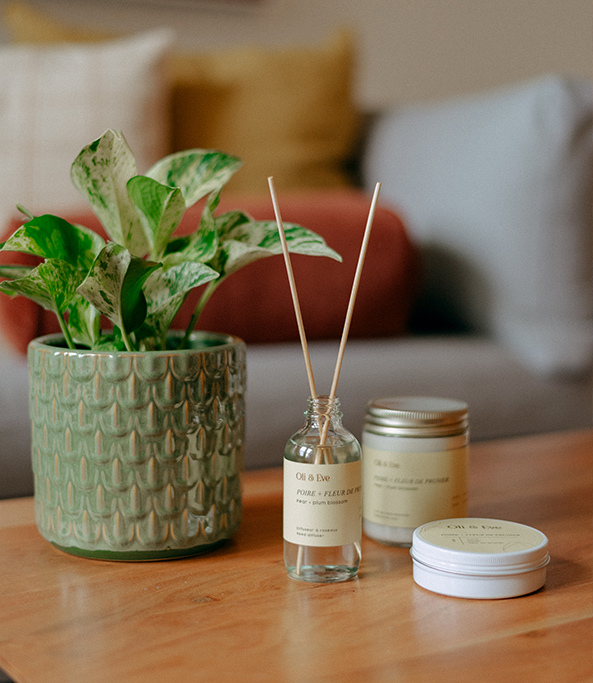 NOTE FLORALE POUR VOTRE SALON 