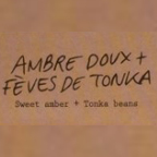 AMBRE-FEV