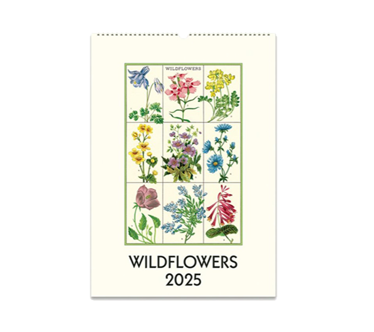 WILD FLOWERS