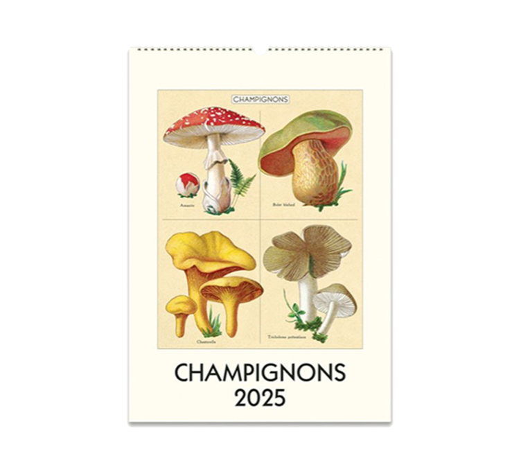 CHAMPIGNONS