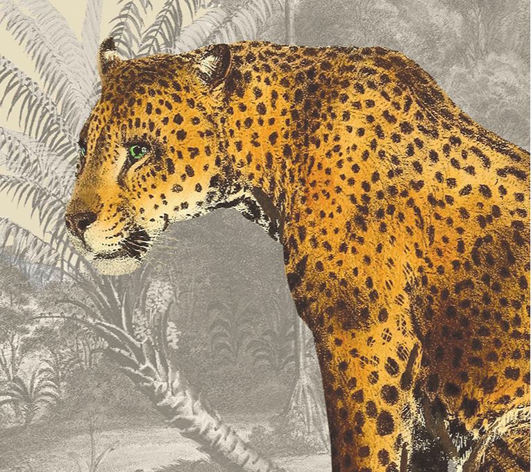 LEOPARD JUNGLE