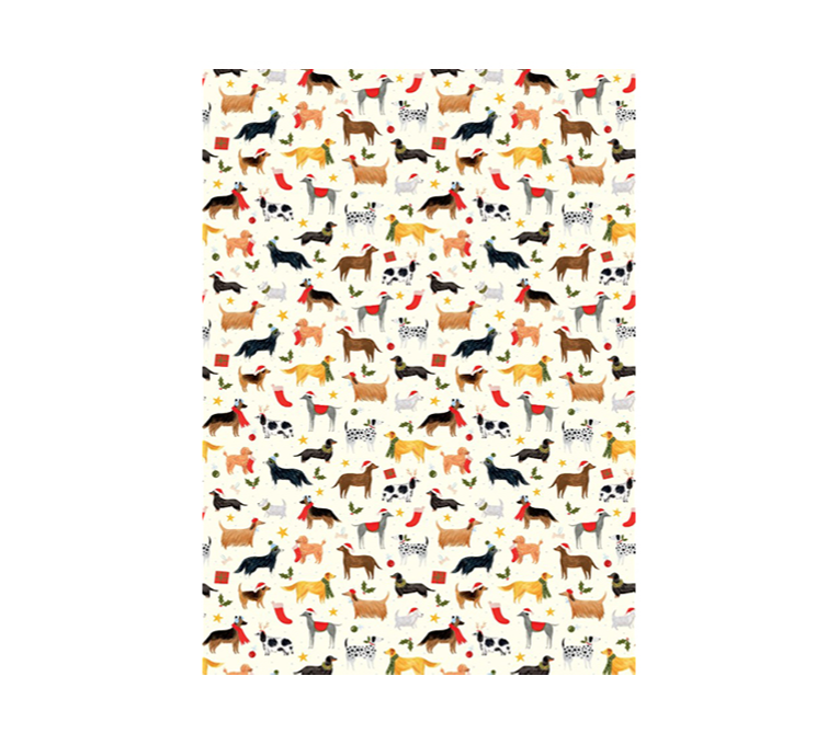 CHIENS