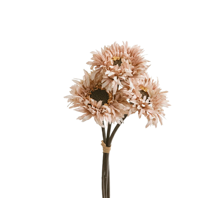 ENGLISH DAISY 