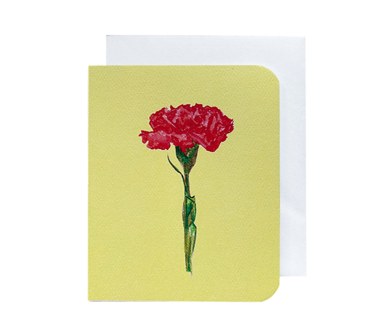 CARNATION 