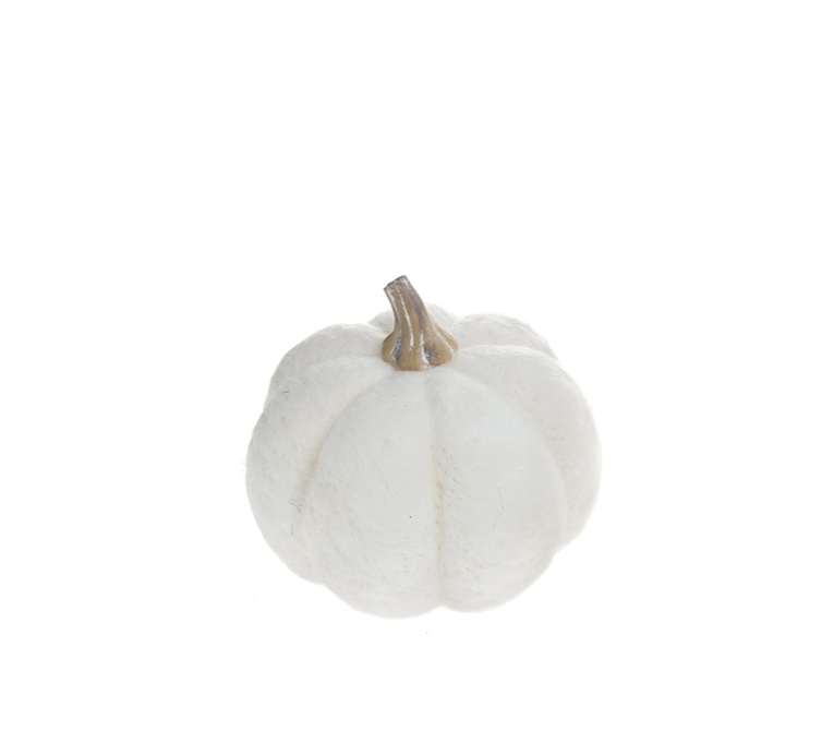 CITROUILLE