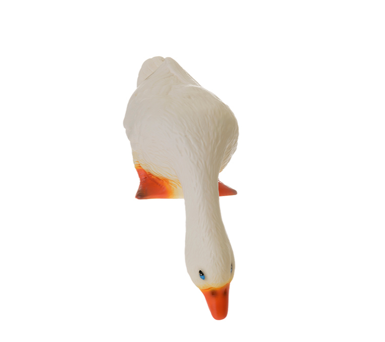 DUCK LOOKING DOWN 
