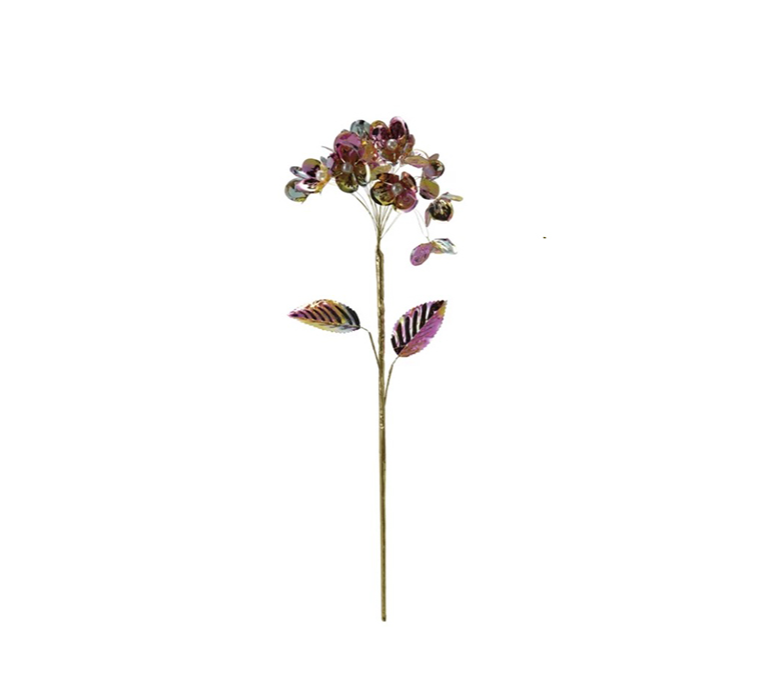 FERNWILDE